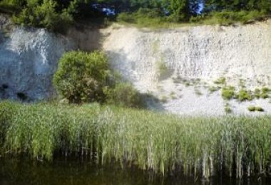 Spacer po przyrodniczej ścieżce edukacyjnej „KOPALNIA PRZYWRÓCONA NATURZE”